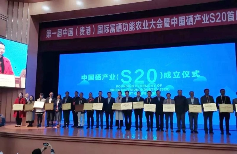 【快讯】中国硒产业S20正式成立，鹏洋作为发起单位参加首次峰会及同期展会